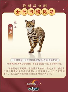 新开天龙八部永恒私服
